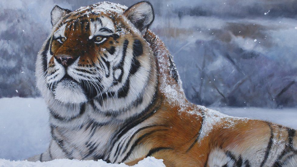 Pip McGarry paintings worth £160k stolen from Marwell Zoo - BBC News