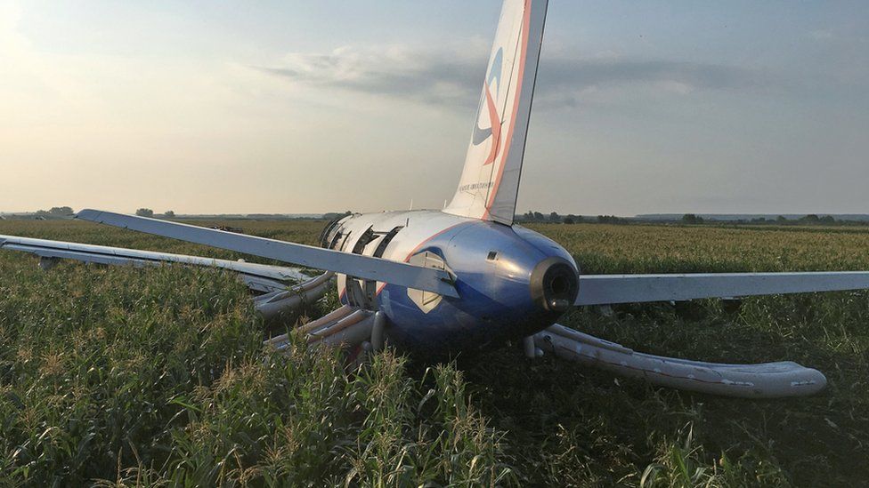 The Ural Airlines Airbus 321 passenger plane is seen following an emergency landing in a field near Zhukovsky International Airport in Moscow Region, Russia