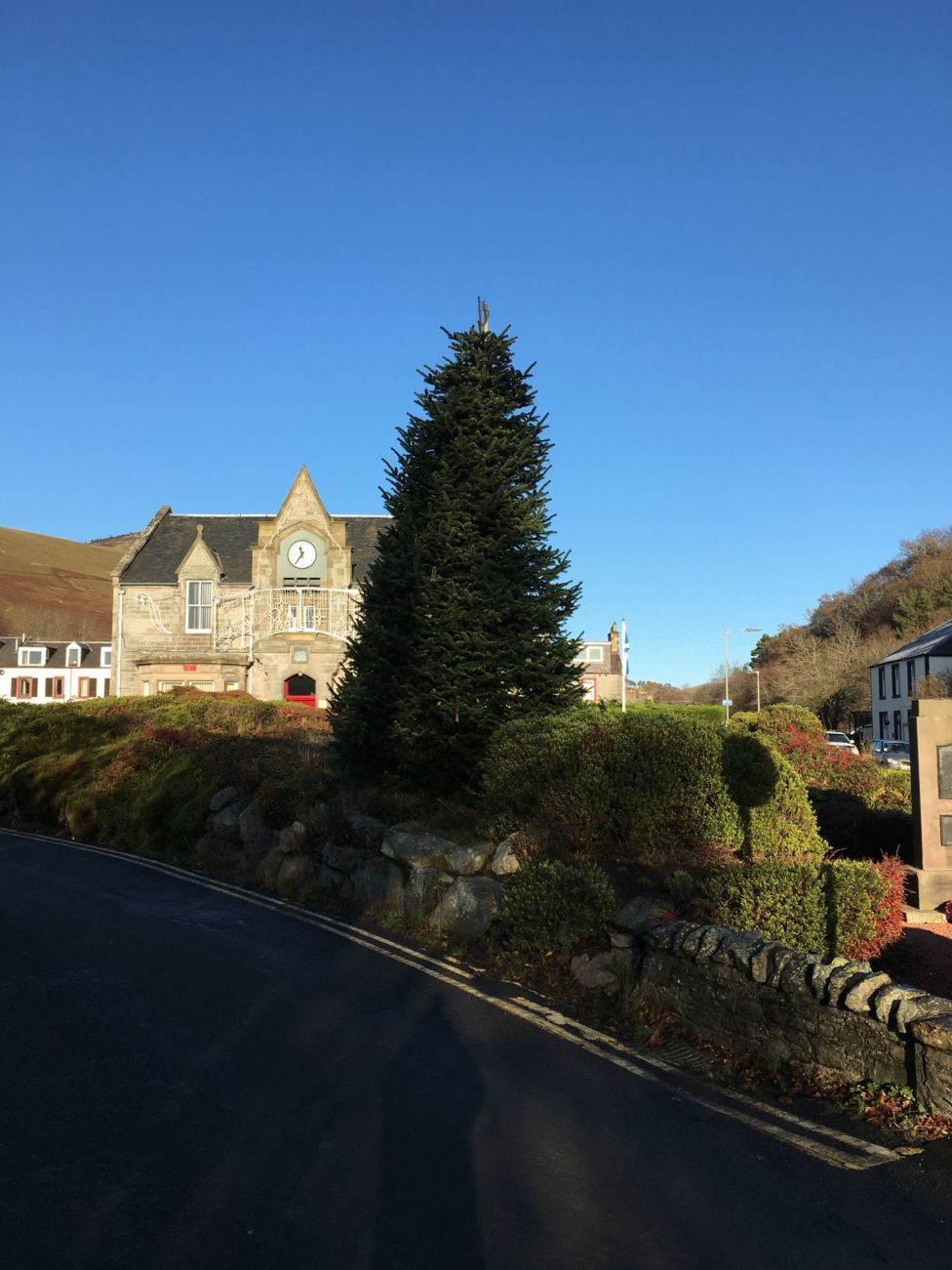 Borders Towns See Christmas Trees Shrink By A Third Bbc News