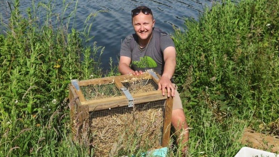 Джо Дэнс выпускает водяных полевок в дикую природу