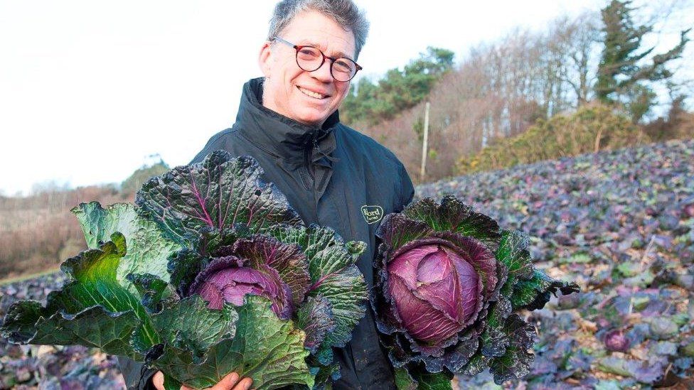 Guy Watson and his favourite cabbage the January King