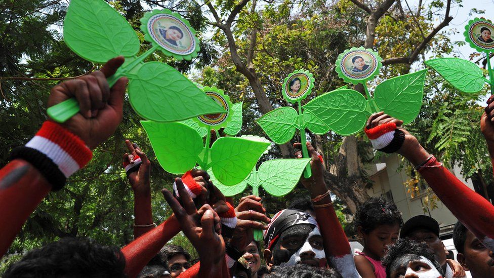 Supporters of All India Anna Dravida Munnetra Kazhagam (AIADMK) party celebrate with party flags, body paint and plastic replicas of party's election symbols in front of part leader J.Jayalalithaa's residence in Chennai on 13 May, 2011