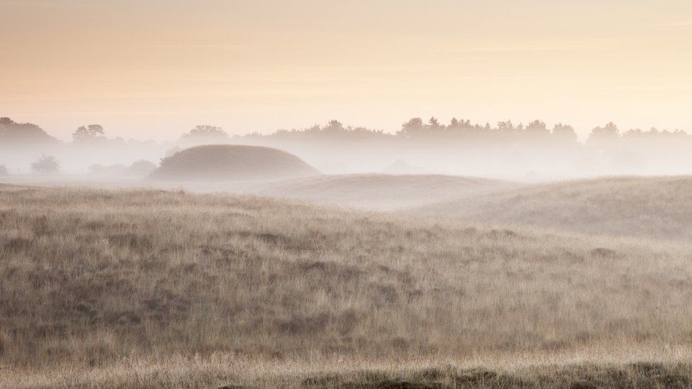 The Dig: Sutton Hoo hopes Netflix film will boost visitor ...