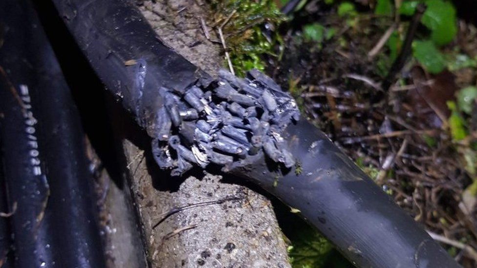 Cut cables 'vandalism' hits Fife rail services - BBC News