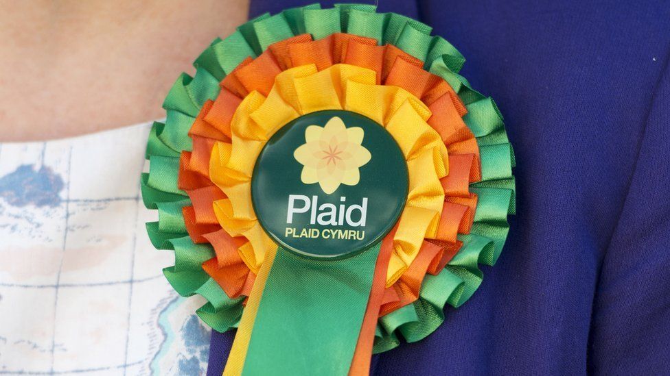 Plaid Cymru rosette