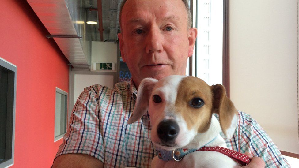 Molly the 'rare' hermaphrodite dog BBC News