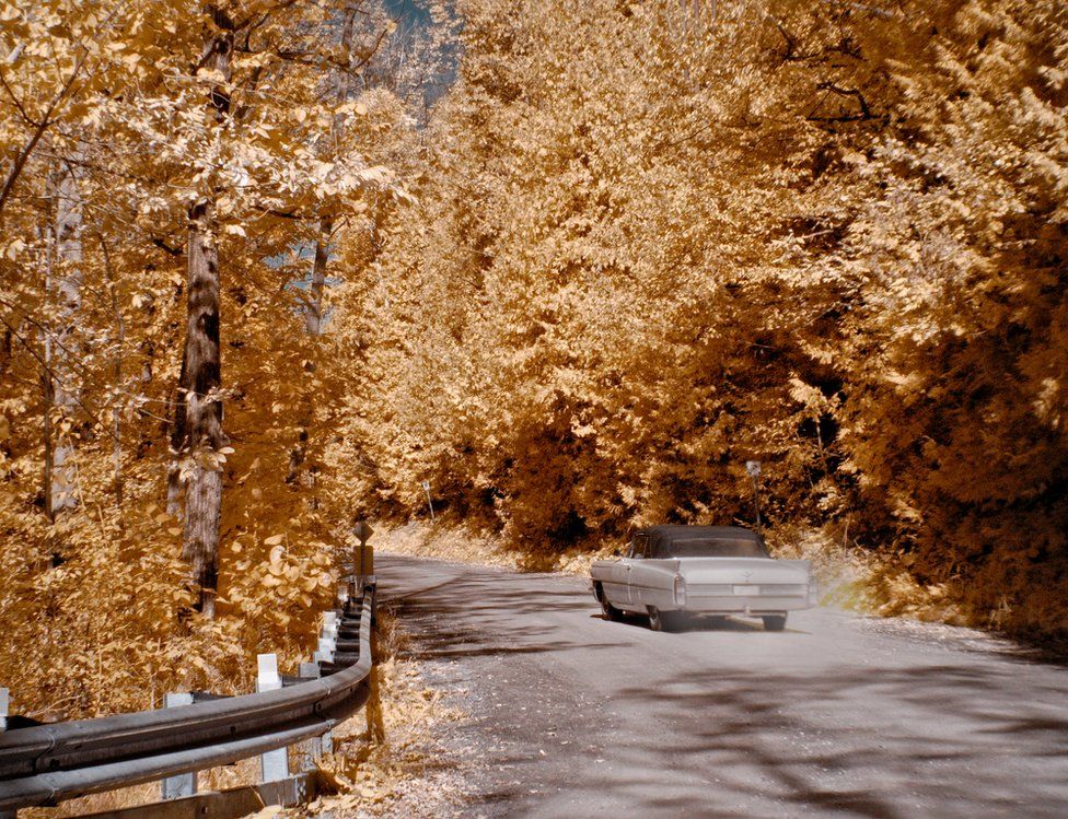 A car driving through autumnal trees