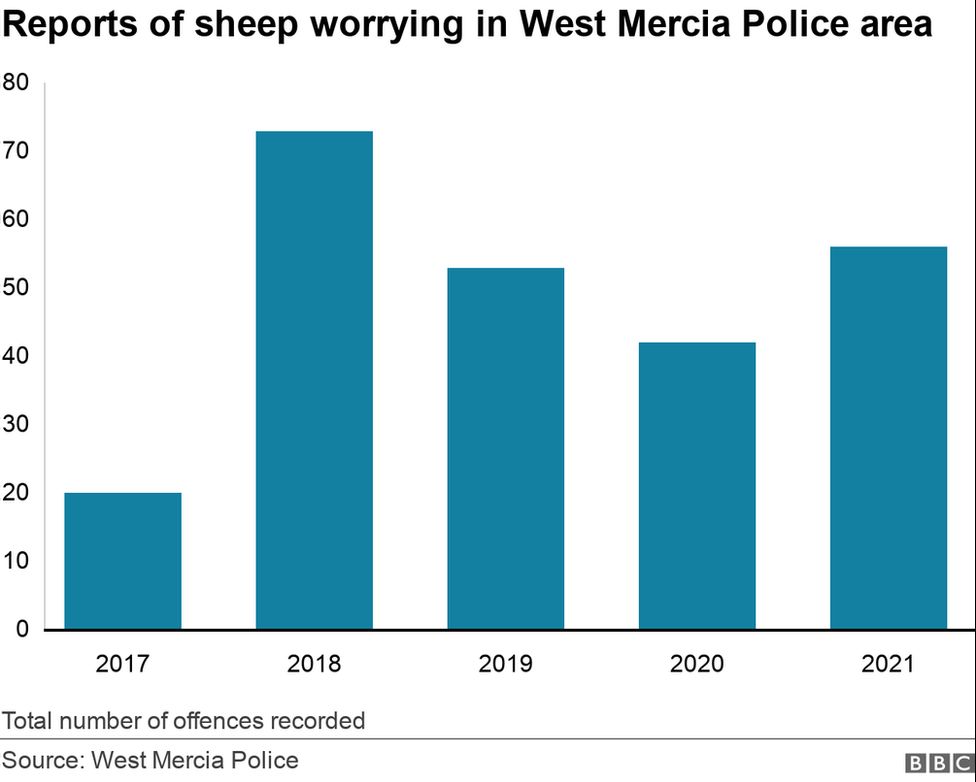 Graph showing sheep worrying cases