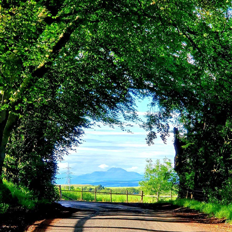 Ben Lomond