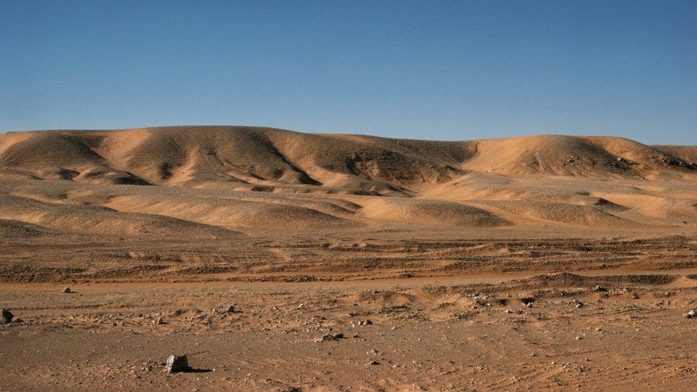 The Sahara desert in Ouargla, Algeria