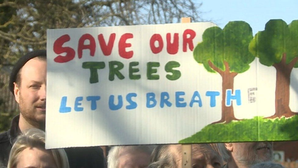 tree protest