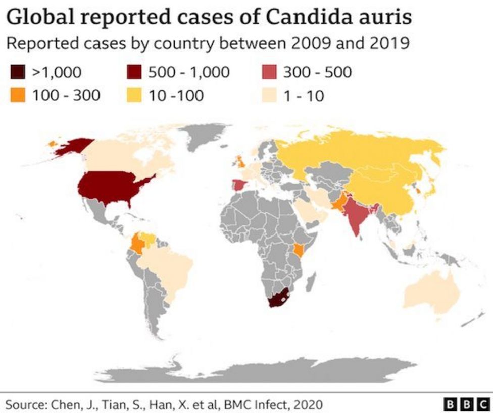 Candida Auris What Is The Deadly Fungus Sweeping Through US Hospitals 129055208 3445d23e 92f4 4e8f 894b 6e0644265aa1