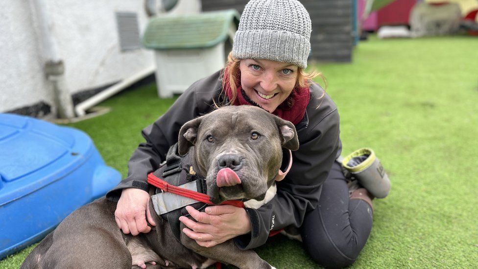 Dog smiling with it's tongue out with woman holding her