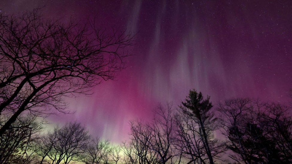 The Northern Lights appear in the sky on March 23, 2023 in Gravenhurst, Ontario, Canada.