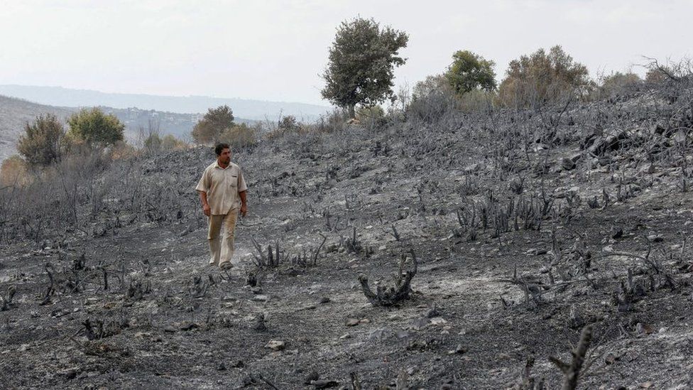 A man looks at burned farmland near Tartous, Syria (11 October 2020)3