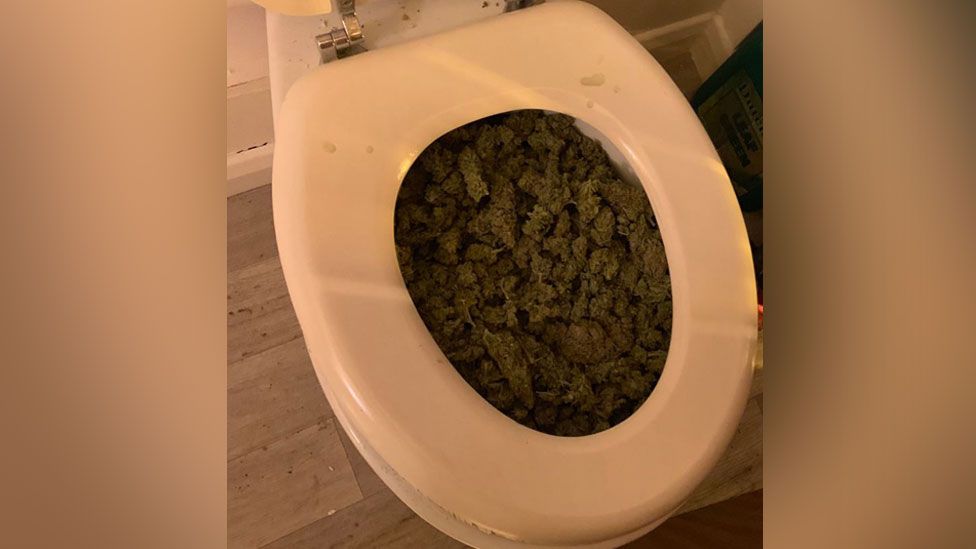 Cannabis in toilet