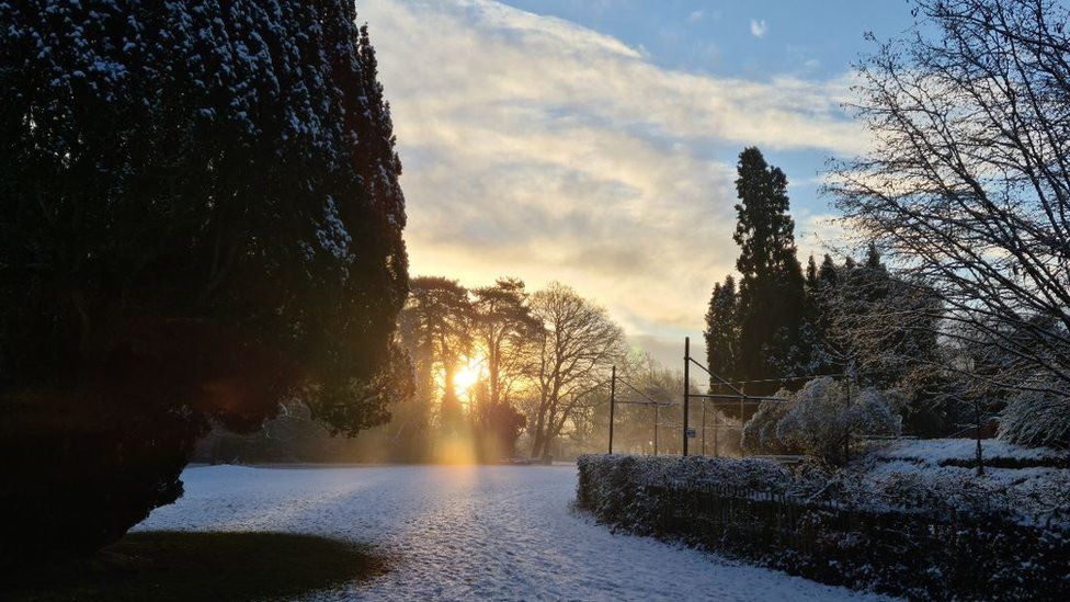 Snowy garden in Heath, Cardiff