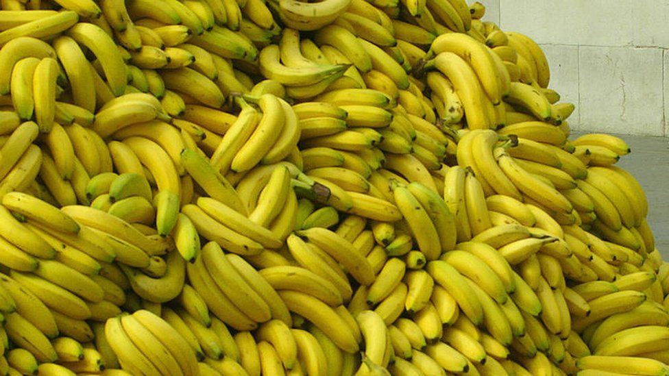 pile o bananas