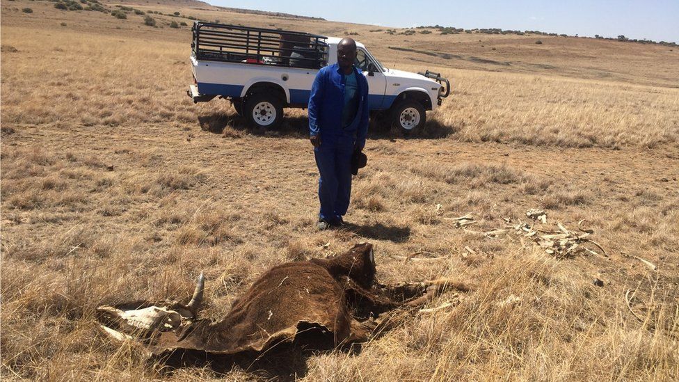 Farmer Thuso Kalane