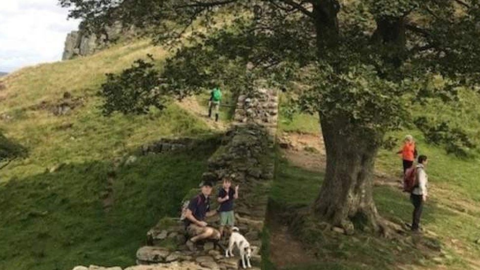 Katharine Barton and family at Sycamore Gap