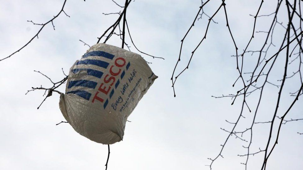 Carrier bag caught on tree branch