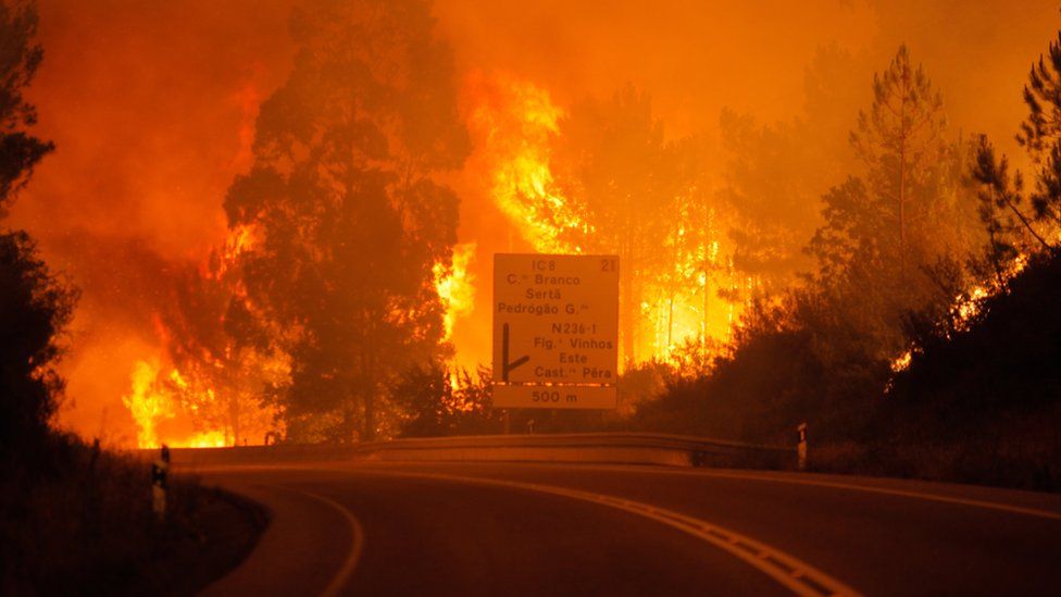 Flames raging around a road in Pedrógão Grande