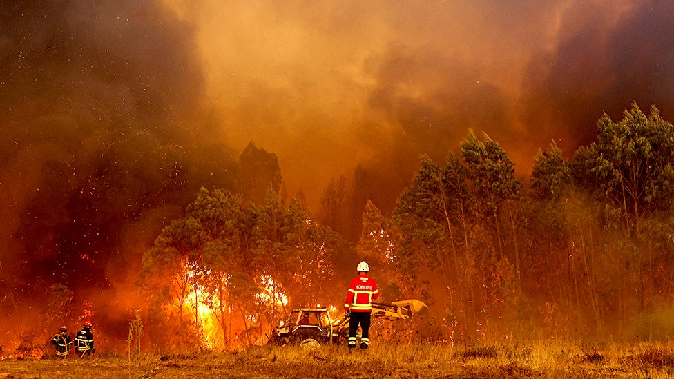 Лесные пожары в Одемире, Португалия, 7 августа 2023 г.