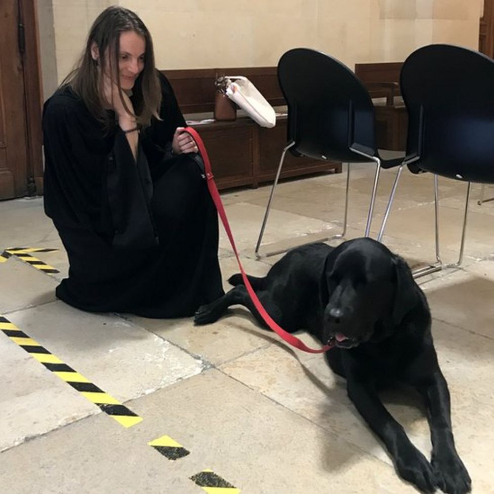 French court dog helps soothe anxious victims of crime - BBC News ...