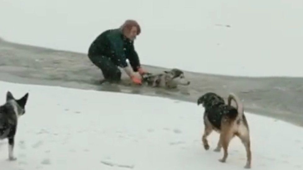 Footage shows a woman rescuing a dog from a frozen lake in Vancouver.