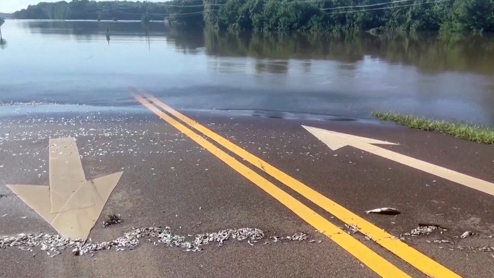 Flood waters in Mississippi