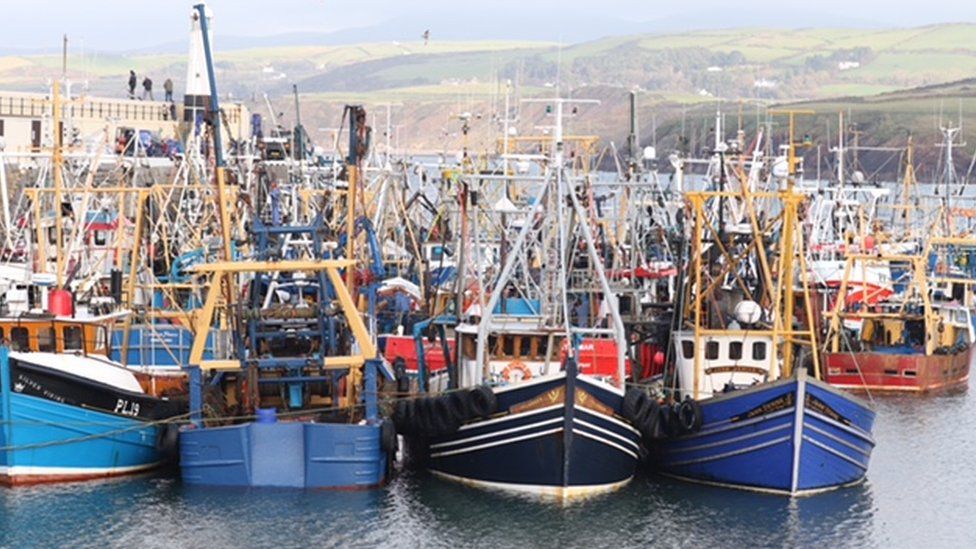 King Scallop Boats, Peel Harbour