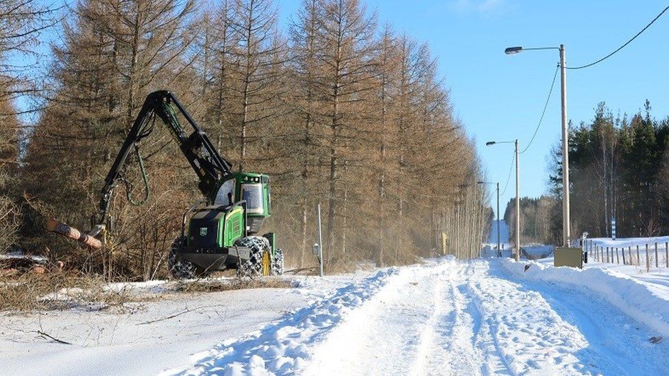 Finland begins construction of a metal fence on its border with Russia