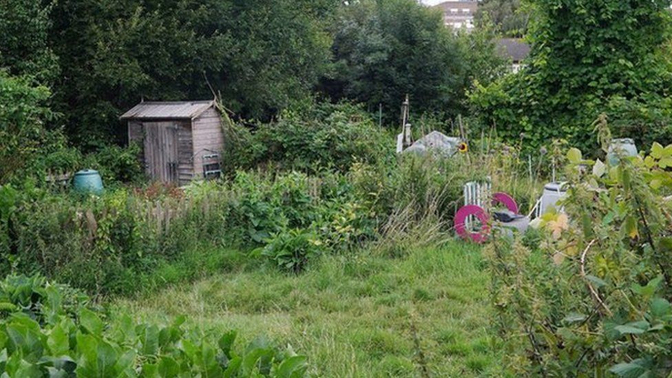 Park Road Allotments in Isleworth