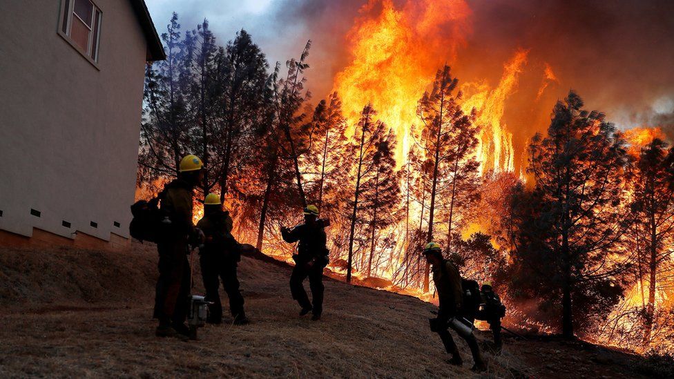 A group of U.S. Forest Service firefighters monitor a back fire while battling to save homes at the Camp Fire in Paradise