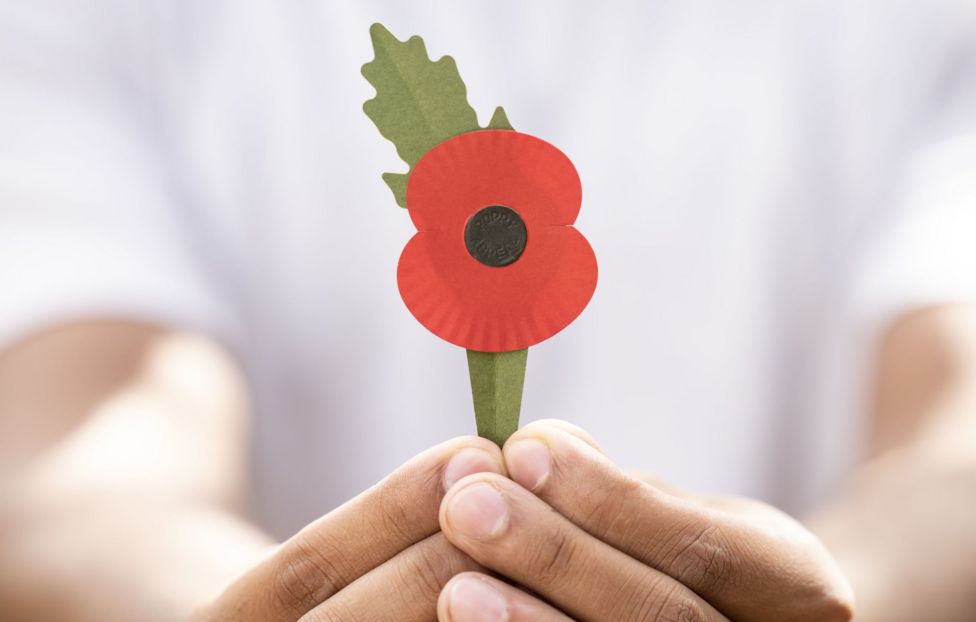 Remembrance Day poppy to go plastic free BBC Newsround