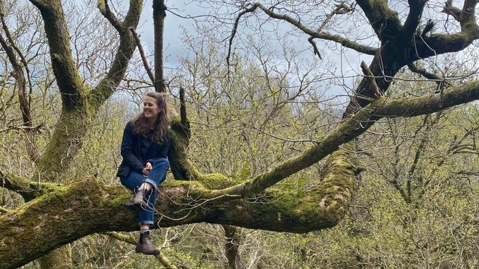Beth Scott in a tree
