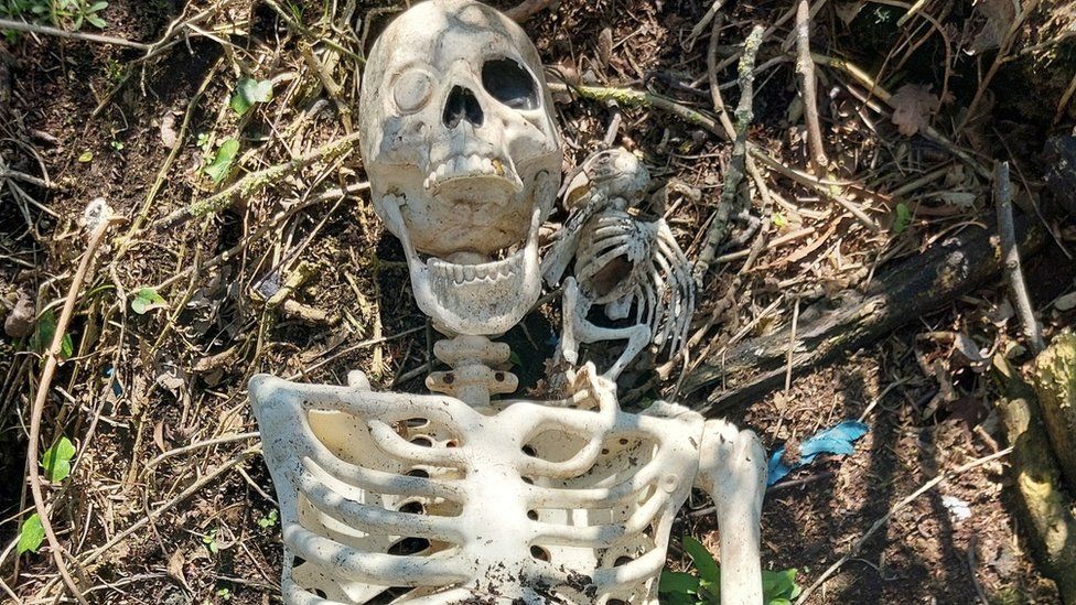 Human bones find turns out to be toy pirate skeleton with parrot - BBC News