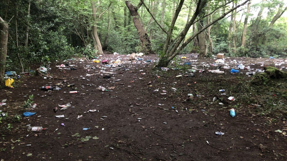 Litter in Brookhay Woods, Staffordshire