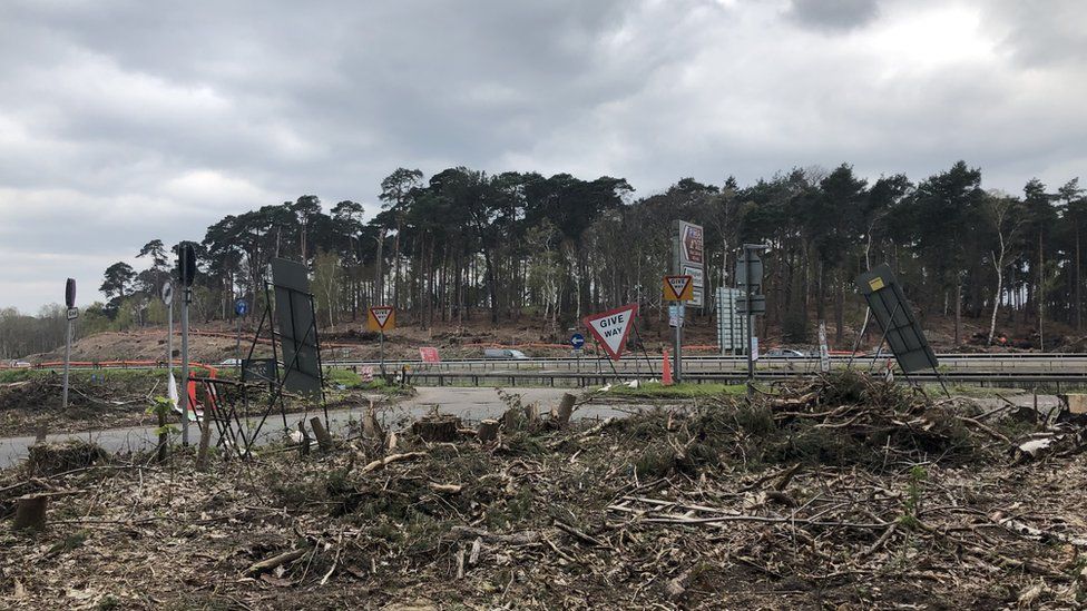 Trees felled for motorway widening in Surrey