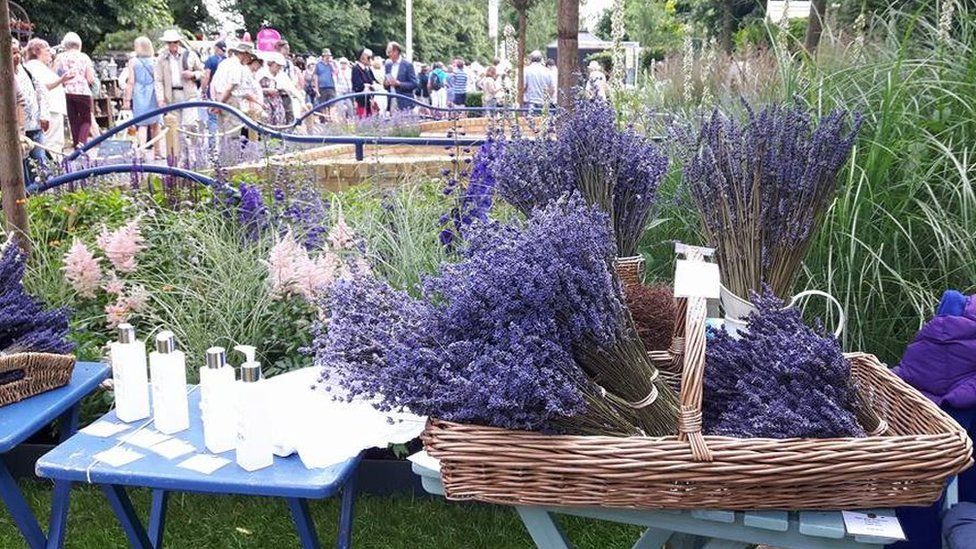 Lavender products