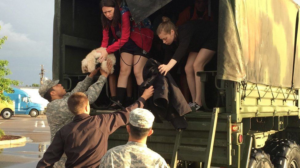 Women on the back of a truck handing a dog to a soldier, 14 August 2016