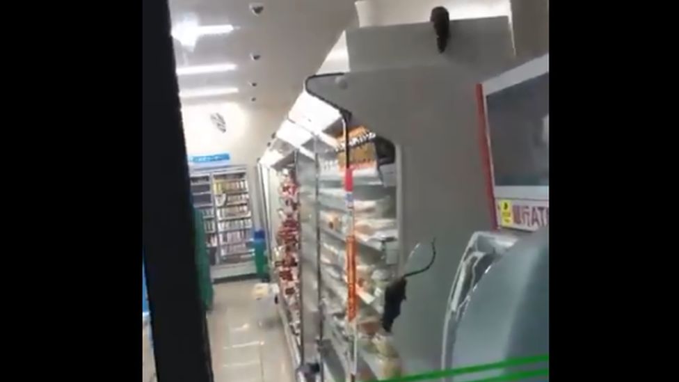 Two rats appear on the side of a refrigerated cabinet in a Family Mart store