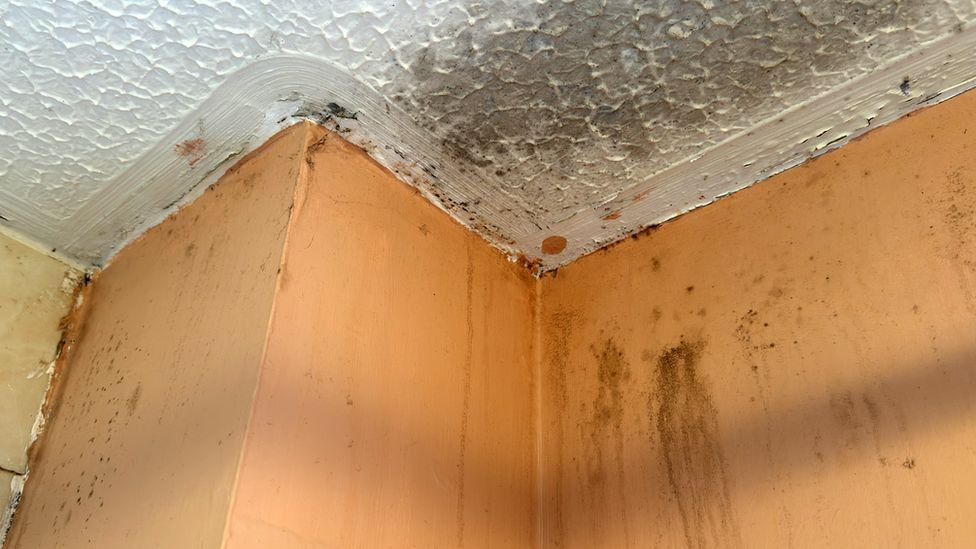 Damp in a bathroom ceiling