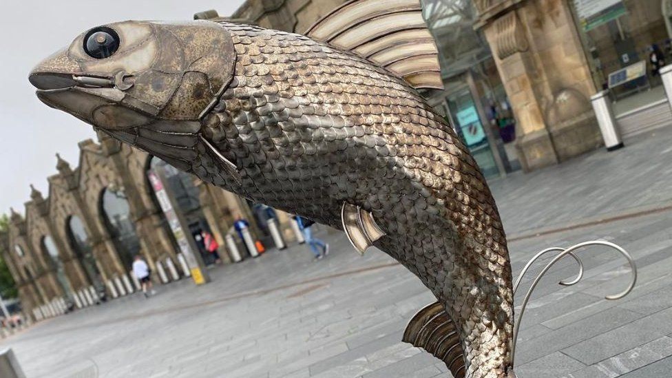 Sheffield steel sculpture celebrates salmon's return to River Don - BBC News