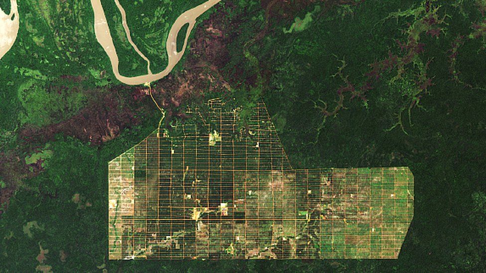 NASA satellite imagery of Papua, Indonesia