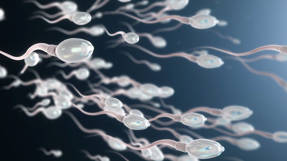 próstata curada con vapor de agua