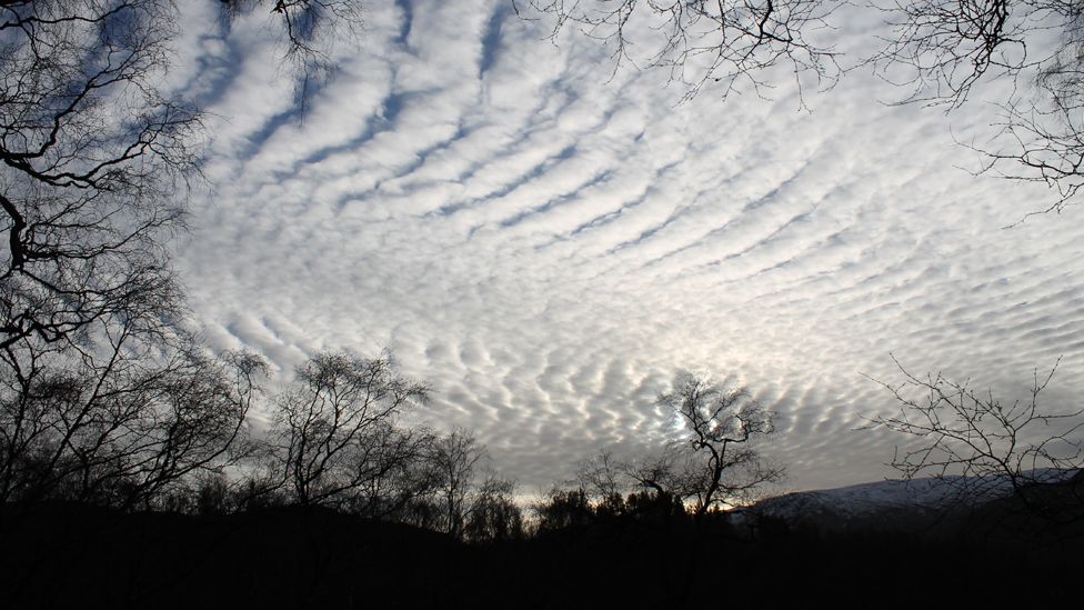 Mackerel clouds