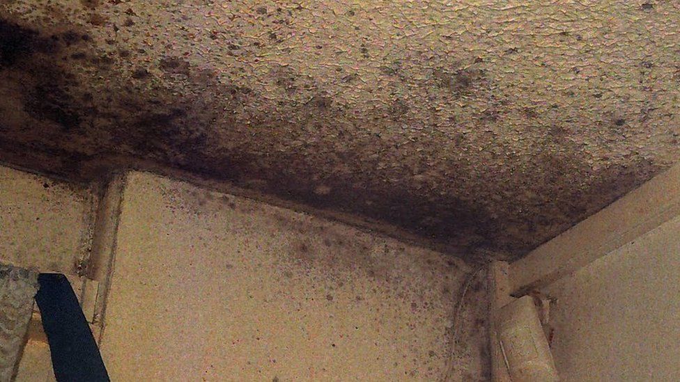 Mould in Awaab Ishak's home