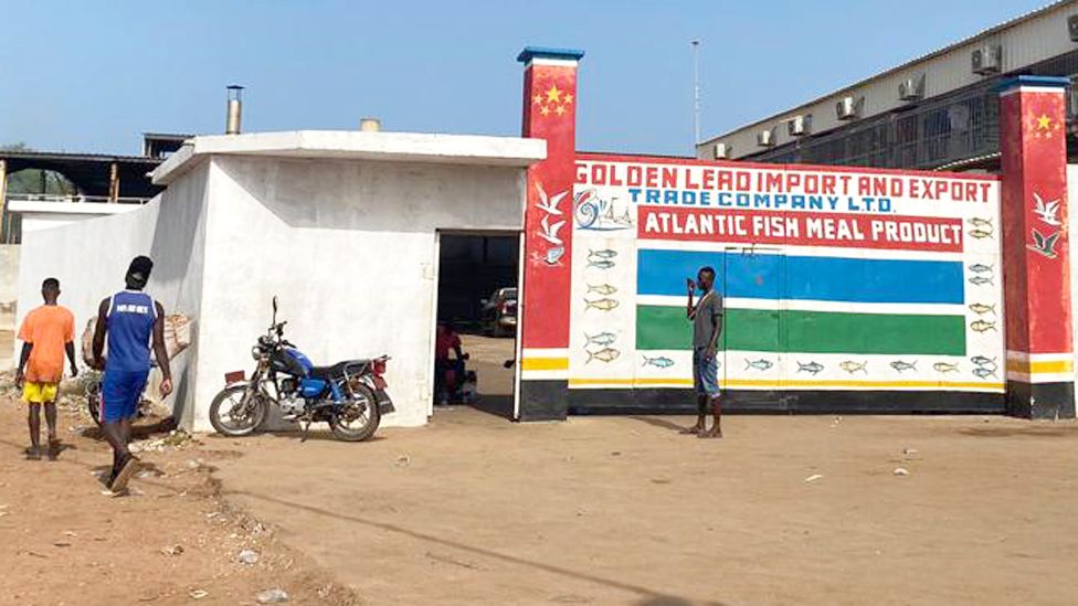 Golden Lead factory in Gunjur, The Gambia