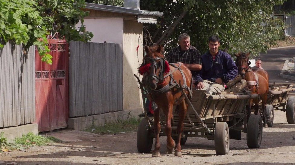 A horse and cart in Nicoresti, Romania